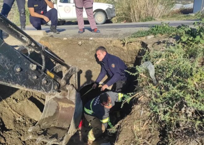 Hatay’da Yavru Köpekler Su Tahliye Borusundan Kurtarıldı