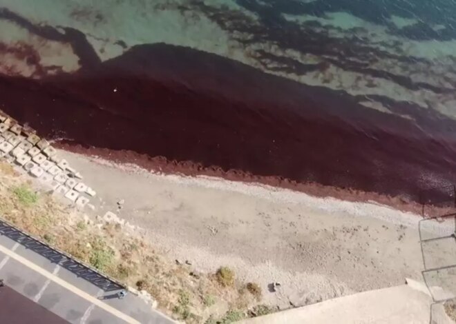 Tekirdağ kıyıları kırmızı renge büründü